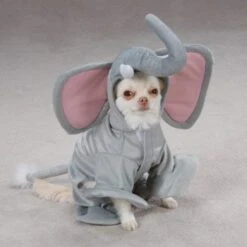 Elephant Dog Halloween Costume -Halloween Costume For Kids Cheap Store 51gl 3trbsl. ac