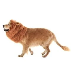 Halloween Lion Dog Costume