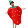 Baby Strawberry Costume