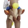 Halloween Horse Inflatable Costume