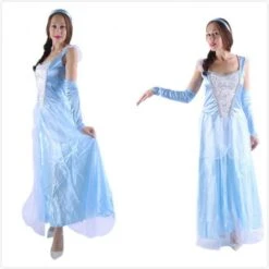 Cinderella Costume Princess Dress For Women