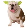 Halloween Star Wars Yoda Dog Costume