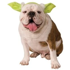 Halloween Star Wars Yoda Dog Costume
